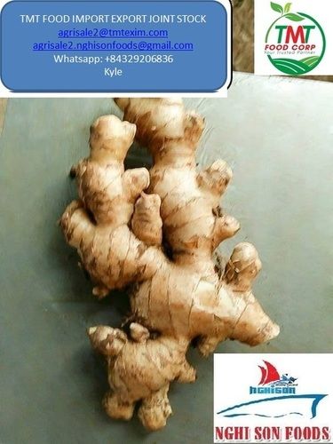 Farm Fresh Young Ginger