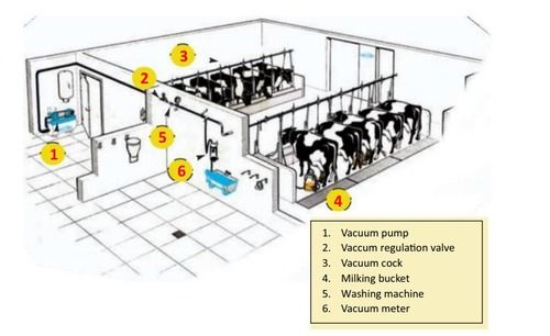 Easy To Clean Milking Parlor