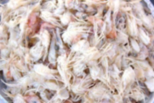 Dried Shrimp Shell