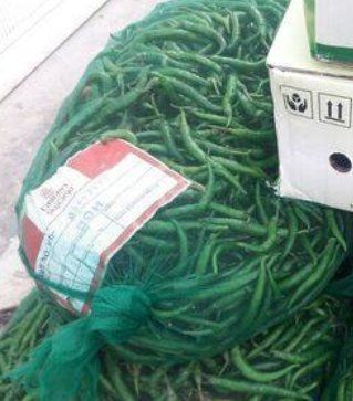 Customize Size Green Chilli Net Bag