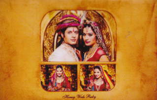 12x36 album printing machine price