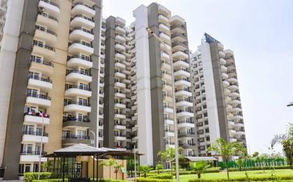 1 BHK Flat For Rent