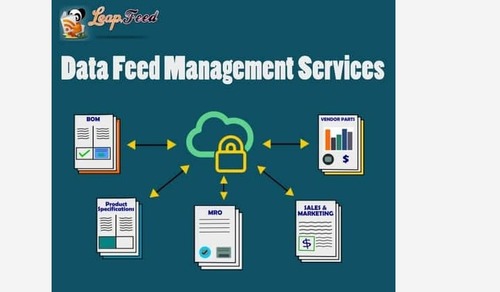 Indian Data Feed Management Services