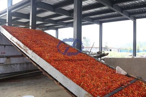 Fruit Vegetable Dryer Machine