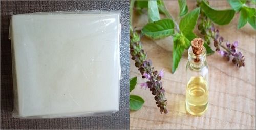 Handmade Aloe Vera + Tulsi Essential Oil Soap