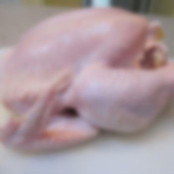 Grade A Halal Whole Frozen Chicken Meat