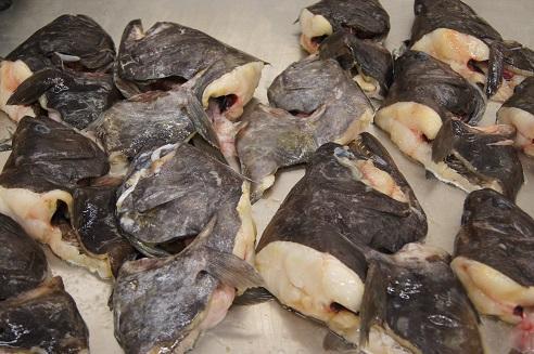 Greenland Halibut Fish Heads