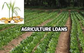 Agriculture Loan Service