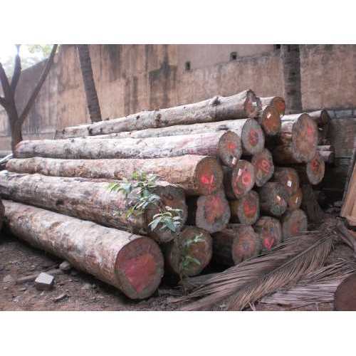 Pine Wood In Hyderabad Pine Wood Dealers Traders In Secunderabad Telangana