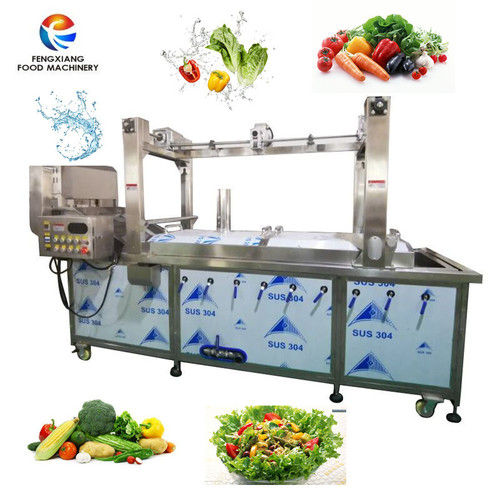 Pt-2000 Industrial Automatic Fruit Vegetable French Fries Potato Chip Beans Spinach Blanching Machine