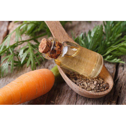 Carrot Seed Essential Oil For Medicine Use