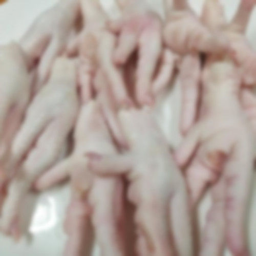 Fresh Halal Frozen Chicken Feet