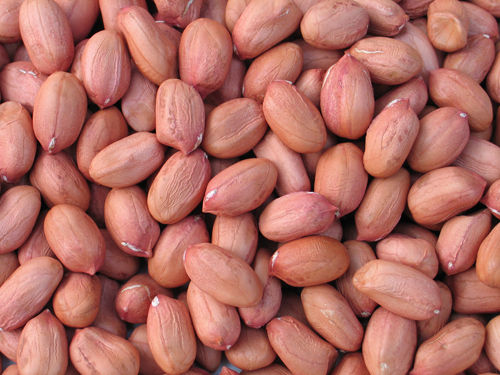 Redskin Peanuts