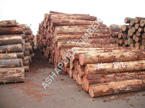 Timber Logs