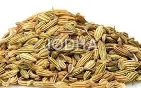 Fennel Seeds