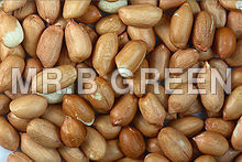 Red Skin Groundnut Kernels General Medicines