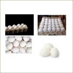 White Shell Eggs