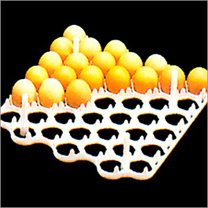 Egg Tray (42) Grade: 304