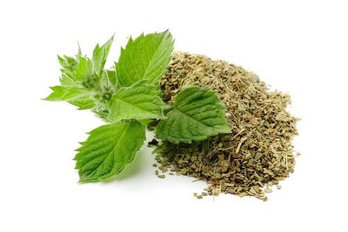 Dehydrated Mint Leaves