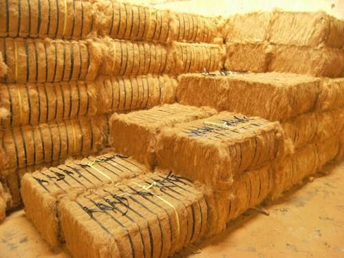 Coir Fibre - Coconut Fiber, 120-150 Unit Weight, Light Brown Color | Eco-Friendly, Washable, Heat-Treated, Screened and Graded