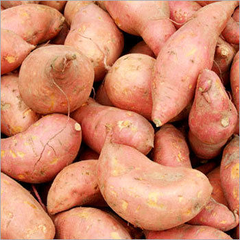 Sweet Potato