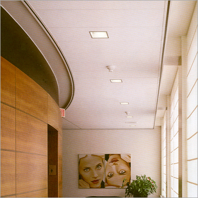 अल्टिमा प्लैंक्स