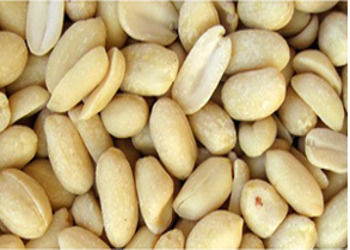 Blanched Peanuts