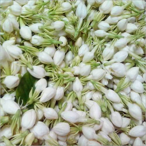 Steel Jasmine Flowers At Best Price In Chennai Tamil Nadu Manikandan Traders 8912