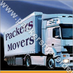 Stainless Steel Residential Packers & Movers