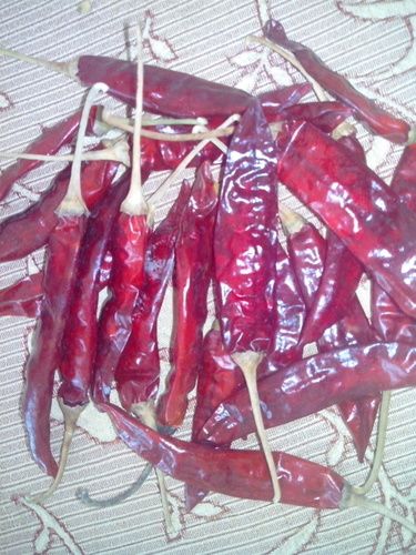 Durable Dried Red Chili