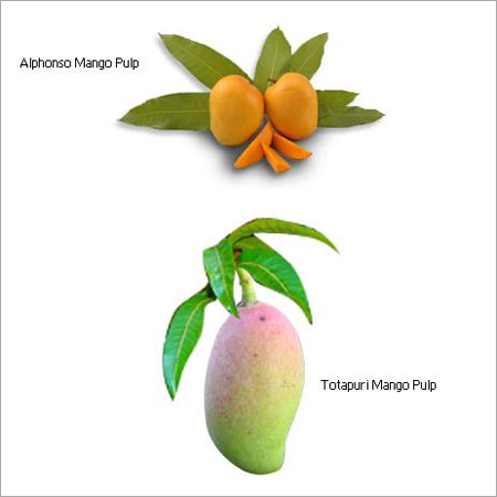 Fabric Mango Pulp