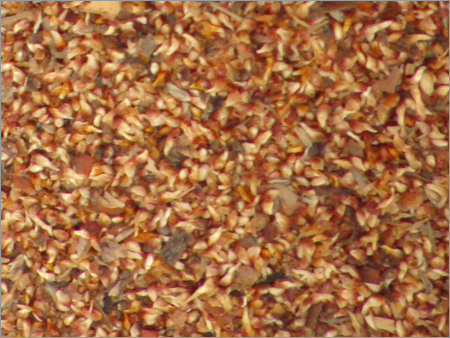 अंजीर के बीज (Ficus Relegiosa)