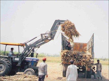 Sugarcane Grab Loader