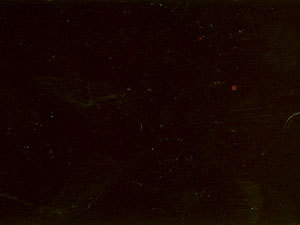 जेट ब्लैक