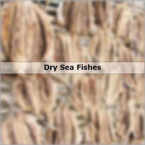 Dry Sea Fishes