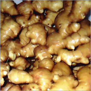 Ginger - Premium Quality Export Ginger | Fresh Flavorful Ingredient for Pickles, Brine, Syrups, and Appetizers