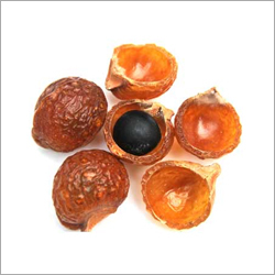 सपिंडस मुकोरोसी