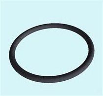 Viton O Ring