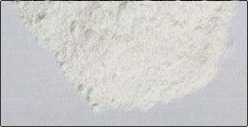 Dasatinib White Powder