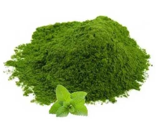 Preservative Free Mint Powder