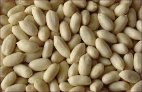 Machine Dried Blanch Peanut