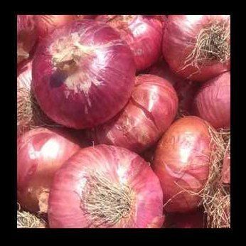 Impurity Free Red Onion