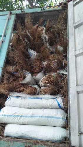 Palm Ekel Broom Stick Capacity: 1000 Kg/Day