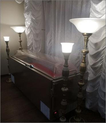 Body Preserving Coffin Box