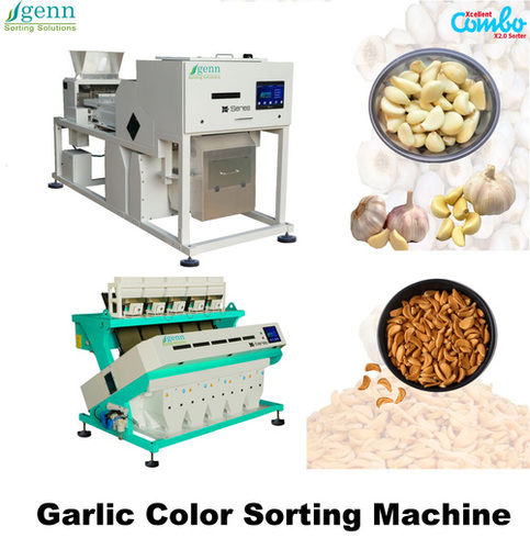 High Precision Garlic Belt Color Sorter