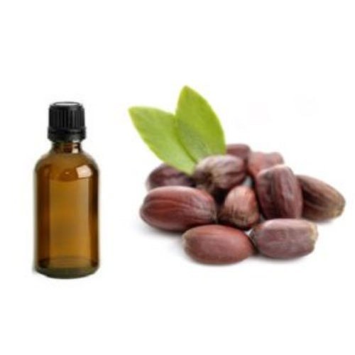 Jojoba Seed, Jojoba Seed Manufacturers & Suppliers, Dealers