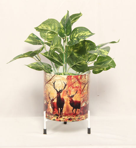Decorative Garden Plant Pot