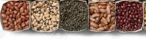 Indian Origin Kidney Beans