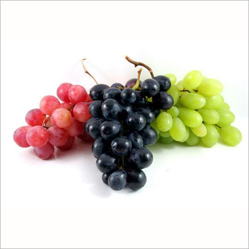 Grapes in Netherlands The, Grapes Manufacturers & Suppliers in