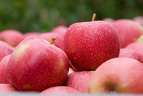 Fresh Red Washington Apple